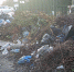 DSCF0355.JPG - Зеленоградский городской округ